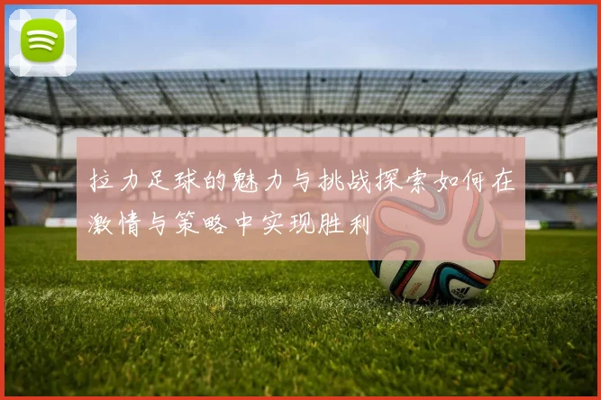 拉力足球的魅力与挑战探索如何在激情与策略中实现胜利