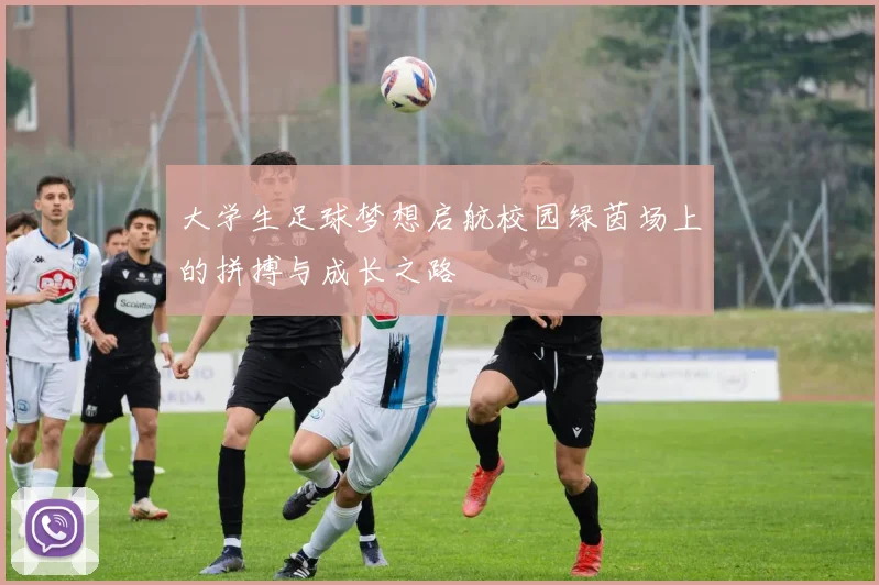 大学生足球梦想启航校园绿茵场上的拼搏与成长之路