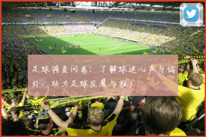 足球调查问卷：了解球迷心声与偏好，助力足球发展与推广