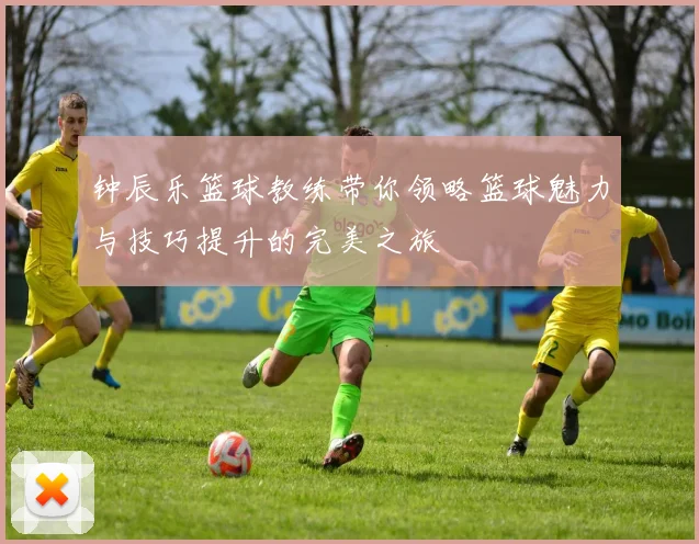 钟辰乐篮球教练带你领略篮球魅力与技巧提升的完美之旅