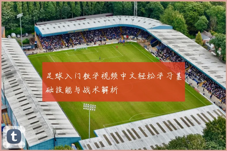 足球入门教学视频中文轻松学习基础技能与战术解析
