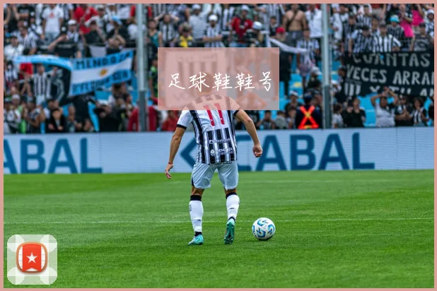 足球鞋鞋号