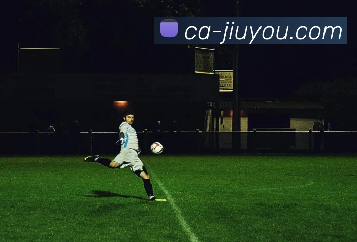 手游下载平台生态图